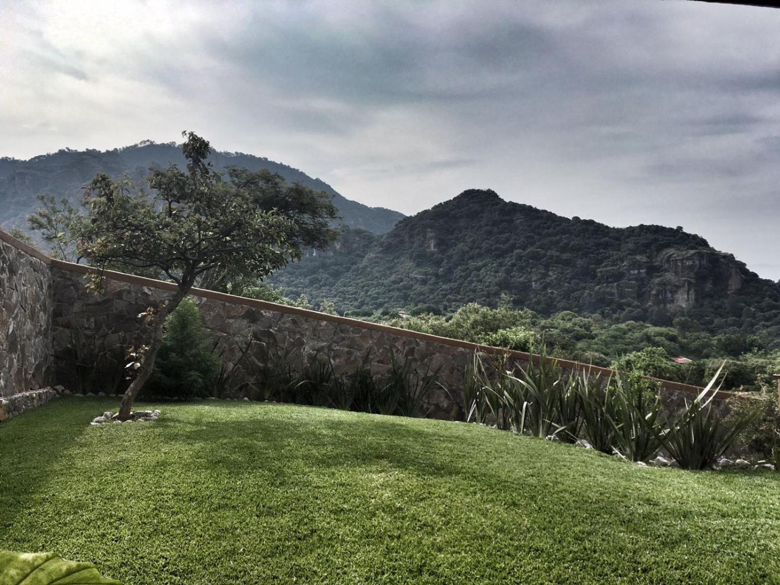 Hostal De La Luz - Spa Holistic Resort Tepoztlan Room photo